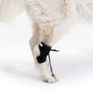 Ortocanis Corrector Propioceptivo Para Perro