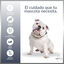 MD-10 Champú Hidratante y Dermoprotector para Bulldog Inglés, , large indicador imagen numero 3