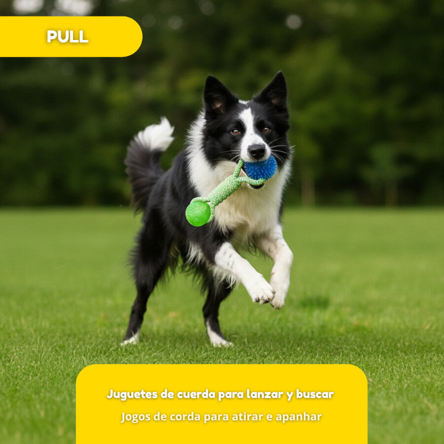 Tootoy! Mordedor de Cuerda con Pelotas de Goma para perros, , large Imagen numero 5