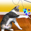 Kong Caña con Peluche para gatos, , large indicador imagen numero 2