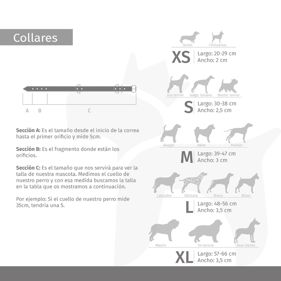 Ladran Gaucho Collar Espa&ntilde;a para perros, , large Imagen numero 5