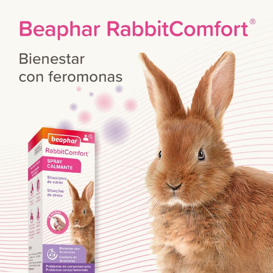 Beaphar RabbitComfort Spray Tranquilizante para conejos thumbnail