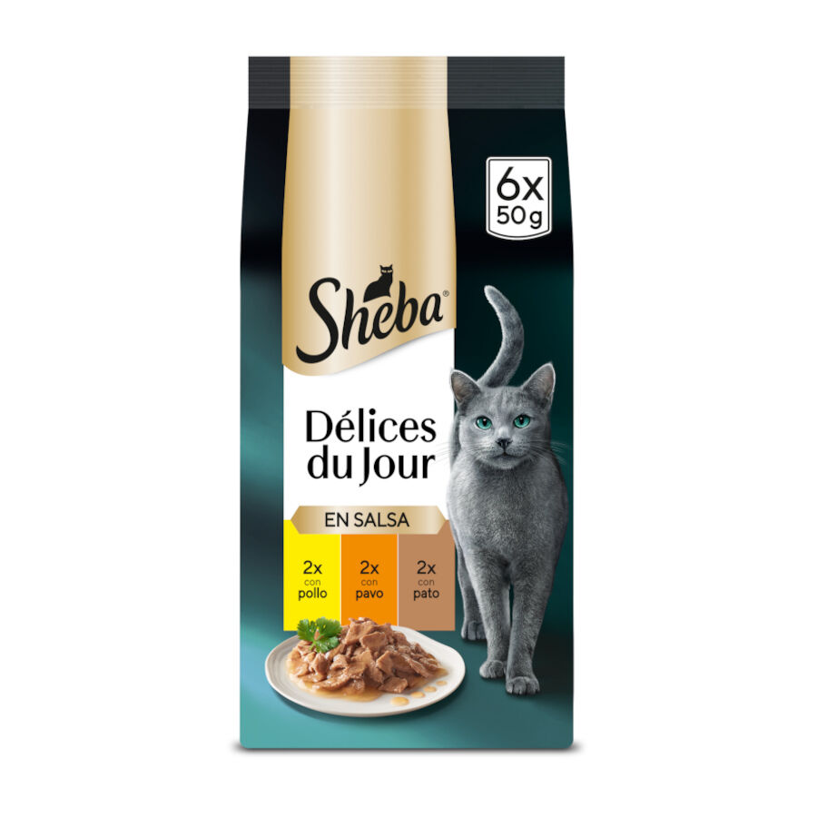 Sheba Délices du Jour en Salsa de pollo, pavo y pato alimento húmedo para gatos thumbnail