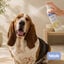 Bloob Colonia Refrescante Yuzu para perros, , large indicador imagen numero 2