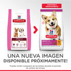 Hill's Small & Mini Adult Science Plan Pollo pienso para perros, , large image number null