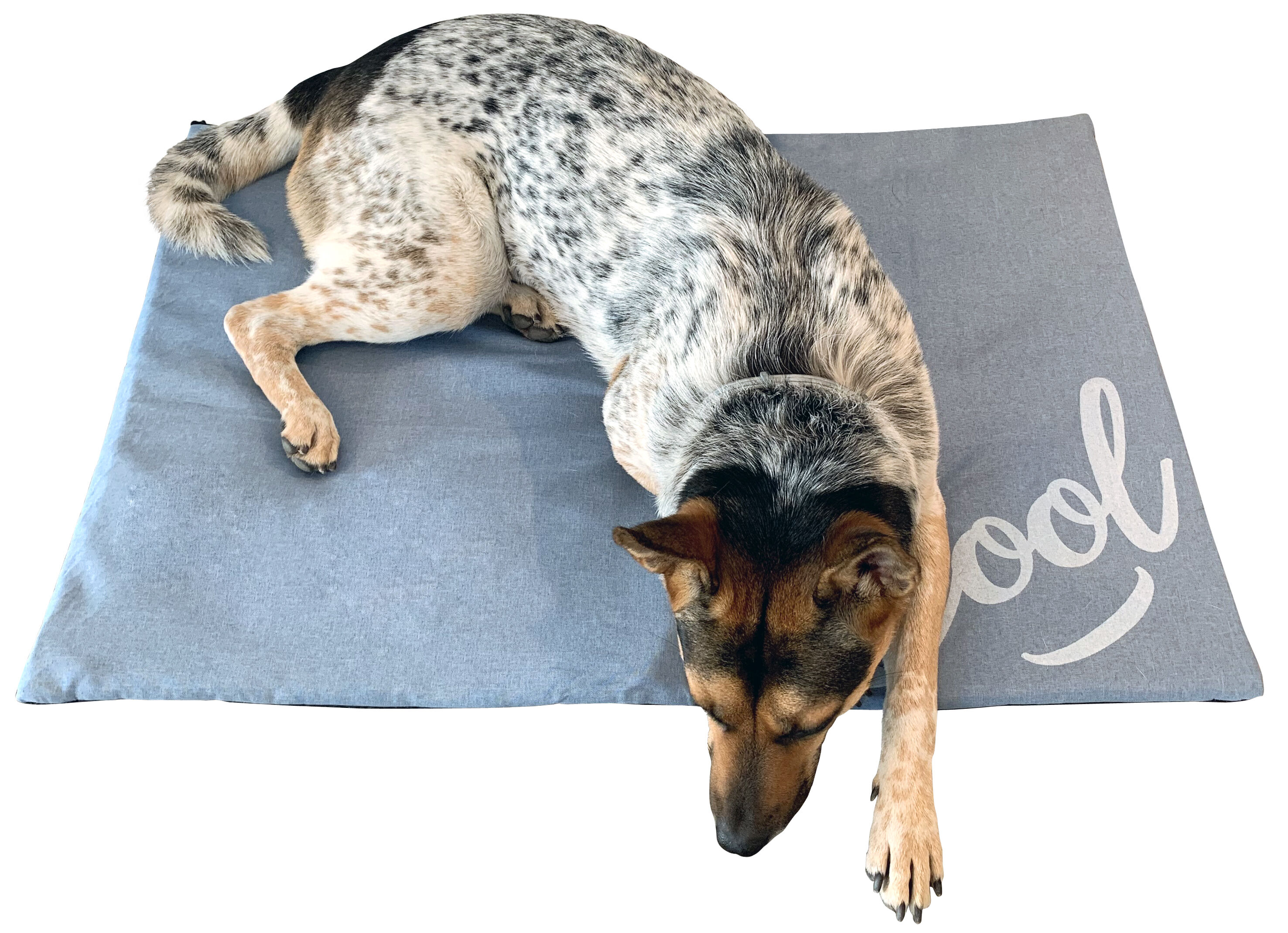 MATELAS RAFRAICHISSANT POUR CHIEN, , large Imagen numero 2