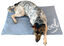 MATELAS RAFRAICHISSANT POUR CHIEN, , large indicador imagen numero 2