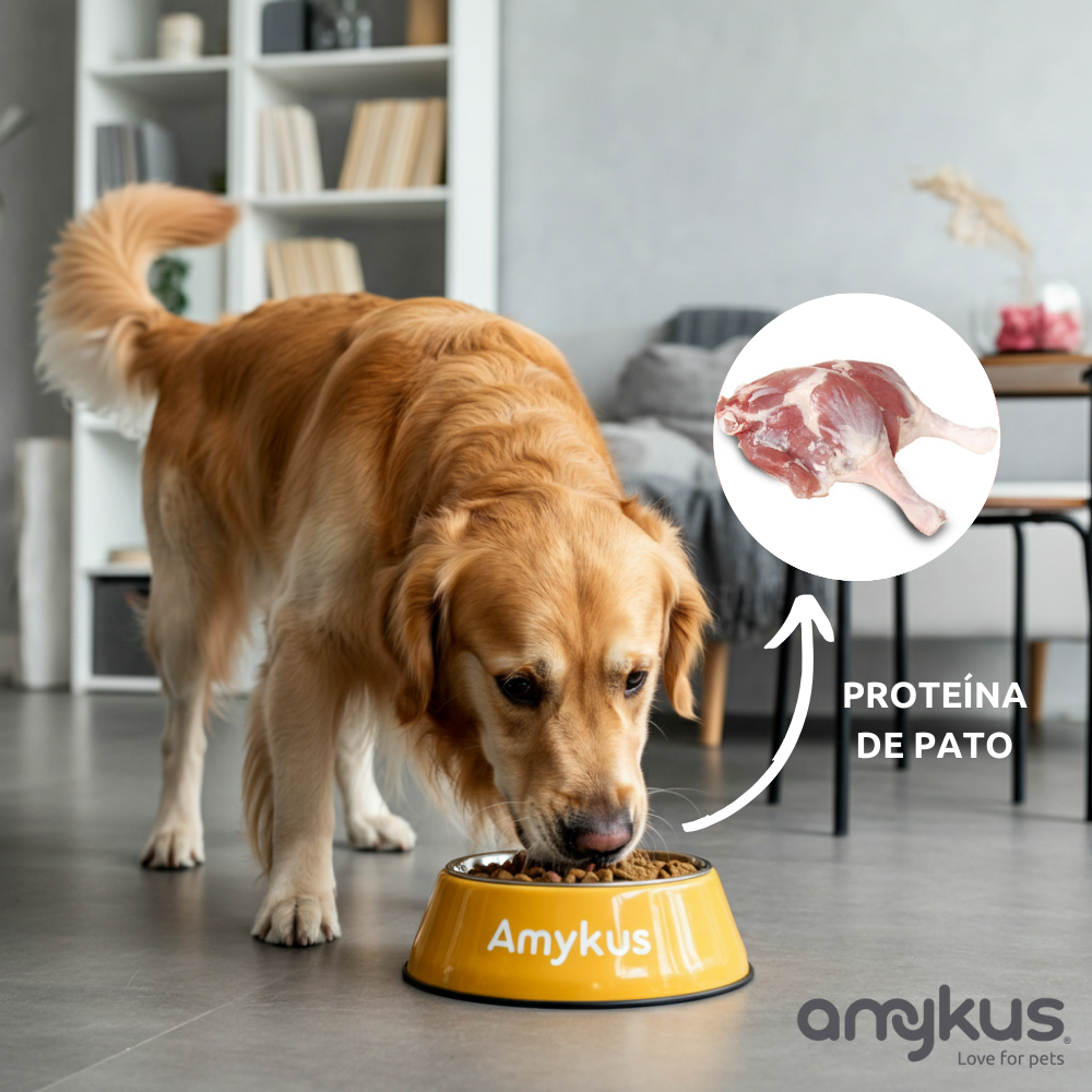 Amykus Gourmet Turkey & Duck Pienso de pavo y pato sin cereales para perros, , large Imagen numero 3