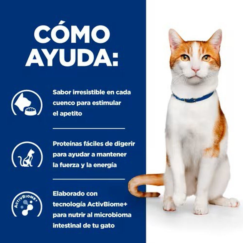 Hill&#039;s Prescription Diet ON-Care Pollo pienso para gatos thumbnail