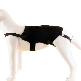 Petietec Soporte de espalda para terapia térmica para perros