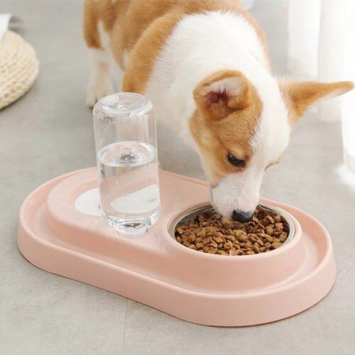 Mypetcare Comedero bebedero rosa para mascotas, , large Imagen numero 2