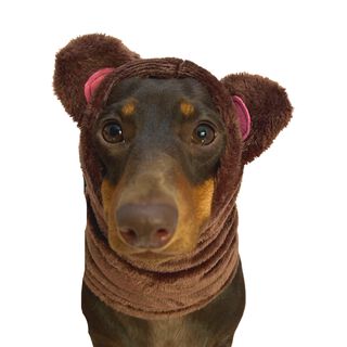 Puppies & Pom Poms bufanda o gorro oso de peluche marrón para perros