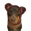 Gorro para perro, bufanda o gorro: oso de peluche marrón, , large indicador imagen numero 1