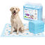 Nobleza Empapadores Perros 50 Unidades 90x90 cm, Alfombrillas Absorbentes Desechables con Dise&ntilde;o Estampado, Pa&ntilde;ales para Perros y Cachorros Antifugas y Antiolores, , large indicador imagen numero 6