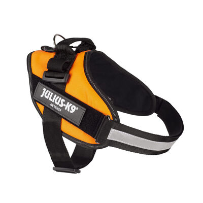 accesorio_perros_juliusk9_mini_naranja_arnes_JUL65980_M Julius K9 arnés naranja neón para perros