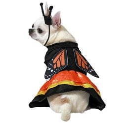 Atosa Disfraz Mariposa para perros especial halloween