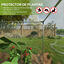 Outsunny Jaula de Cultivo Verde, , large indicador imagen numero 4