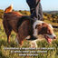Arnés para perros con diseño ergonómico + Correa cómoda de EVA, , large indicador imagen numero 4