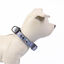 Disney Premium Villanas collar para perros, , large indicador imagen numero 2