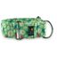 Galguita amelie martingale collar para perros. Ladybug, , large indicador imagen numero 1