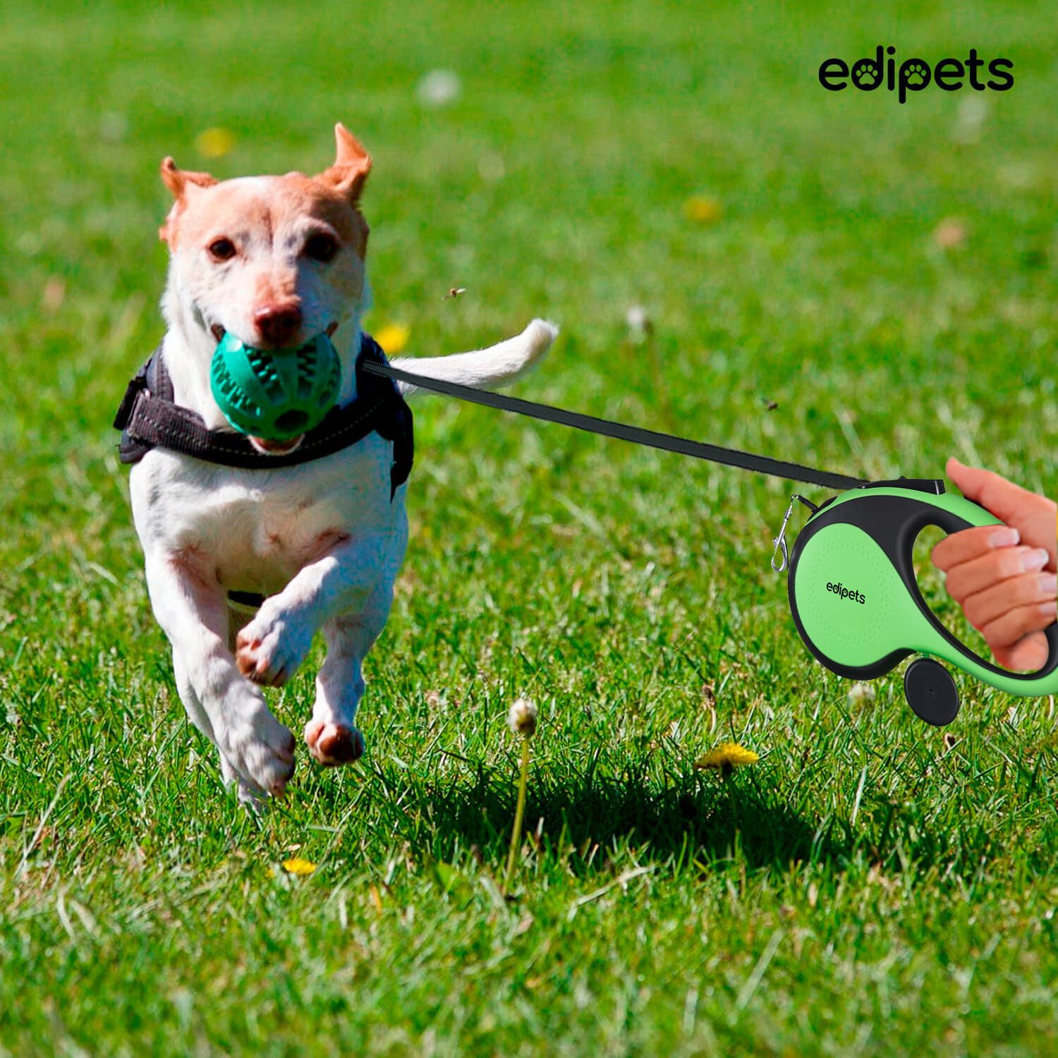 Edipets correa extensible ajustable verde para perros thumbnail
