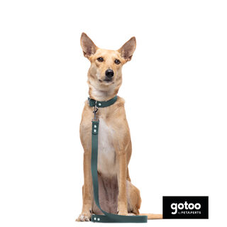 Gotoo Correa Biothane verde para perros