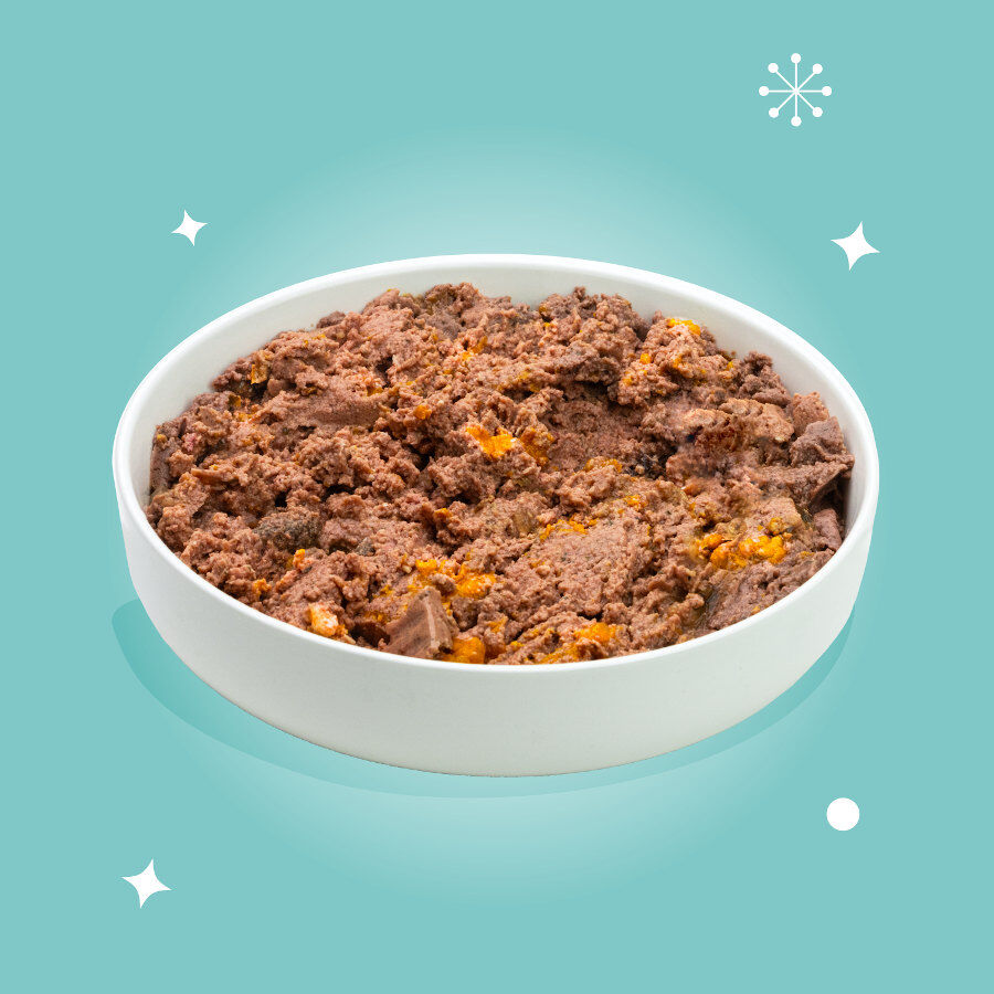 150 g Edgar & Cooper Festive Fest&iacute;n de Pavo en Pat&eacute; tarrina para perros, , large Imagen numero 2