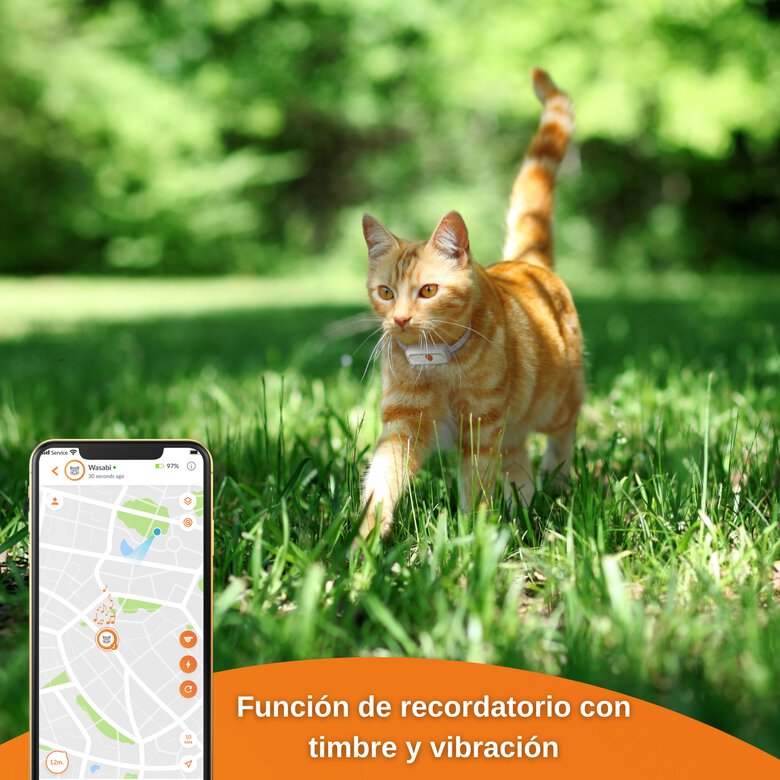 Weenect XS - GPS para gato (Blanco), , large image number null