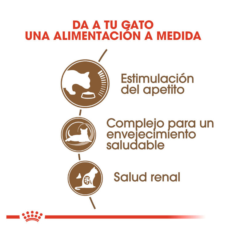 Royal Canin Ageing 12+ pienso para gatos thumbnail