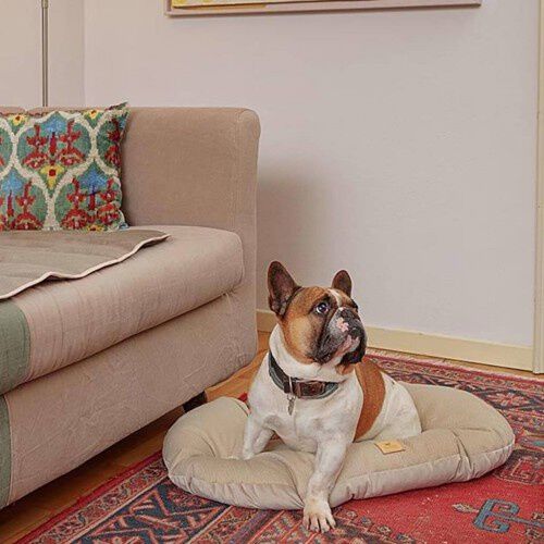 Ferplast Stuart Cama Beige para mascotas, , large Imagen numero 4