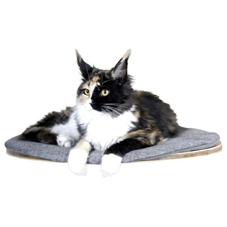Cama en la pared Tofana para gatos color Gris, , large image number null