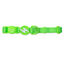 Collar Neon Verde Gato, , large indicador imagen numero 2