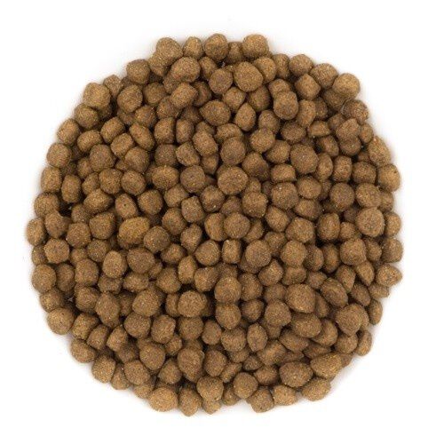 AVANTIS puppy pienso de pollo y arroz para cachorros, , large Imagen numero 2