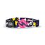 Collar de poliéster Unicorn para perros color Varios, , large indicador imagen numero 1