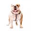 Zooz arn&eacute;s snoopy negro para perros, , large indicador imagen numero 2
