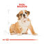 12 kg Royal Canin Puppy Bulldog pienso para cachorros, , large indicador imagen numero 4
