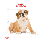 Royal Canin Puppy Bulldog pienso para perros, , large image number null
