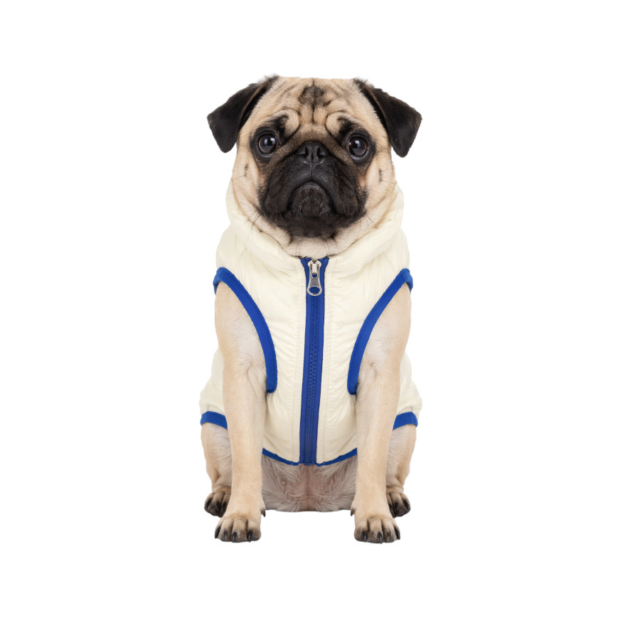 Goto Abrigo Reversible Acolchado para perros, , large Imagen numero 7