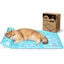 Nobleza Manta Refrescante con Almohada Cervical para Perros y Gatos &ndash; Gel Auto-refrescante sin Agua, Tela Oxford 300D Antidesgarro, 65x50 &ndash; Azul Claro, , large indicador imagen numero 9