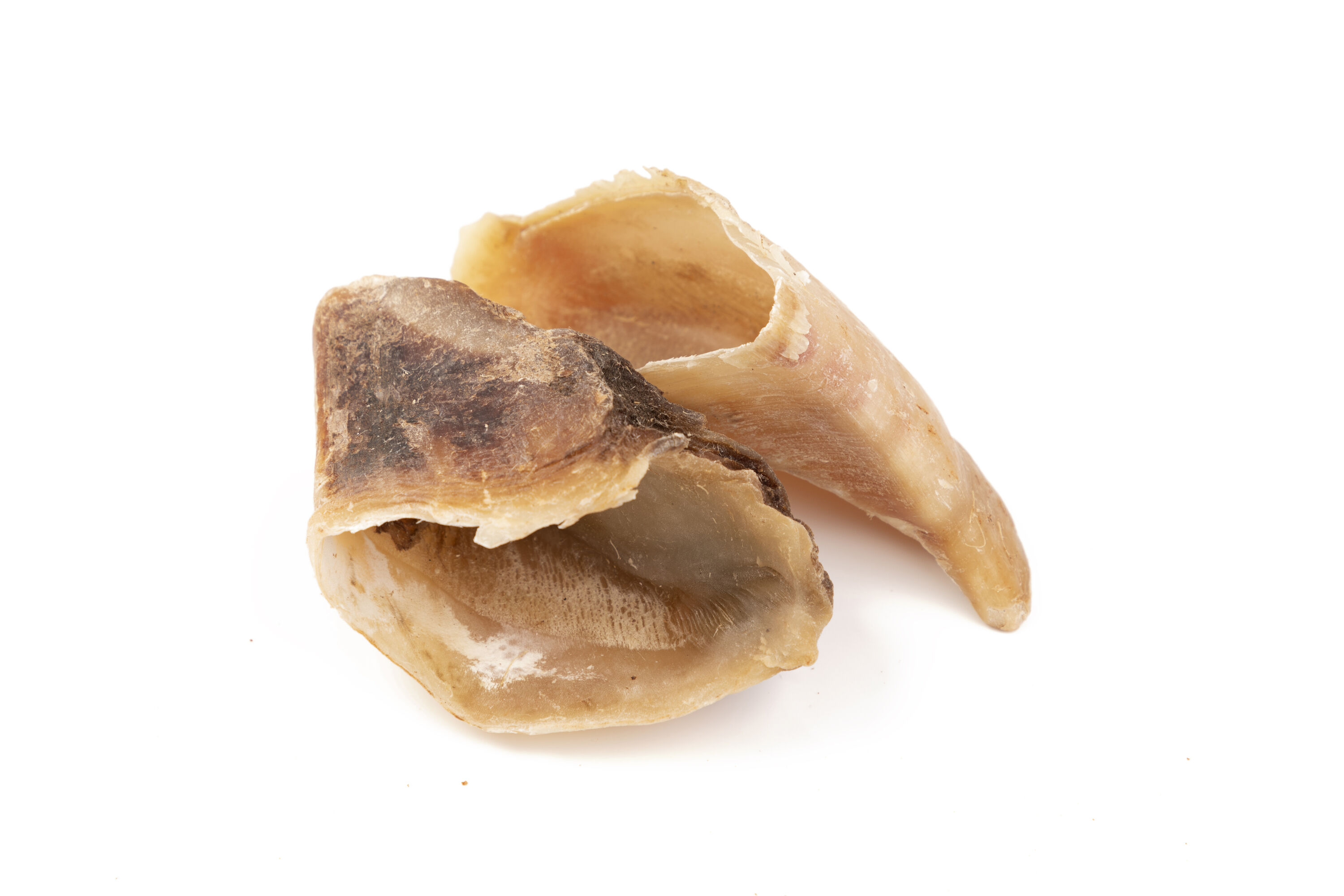 BIMORDISCOS Pezu&ntilde;as de vaca para perros, , large Imagen numero 3