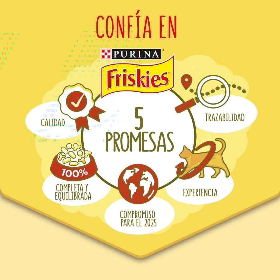 Friskies Conejo y Pollo pienso para gatos thumbnail