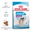 15 kg Royal Canin Junior Giant pienso para perros, , large indicador imagen numero 2