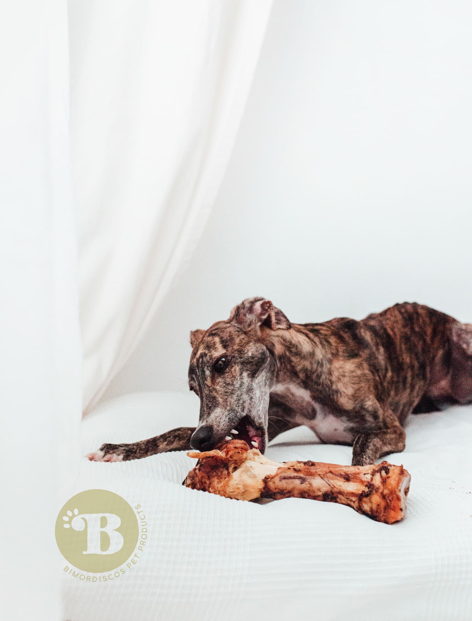 BIMORDISCOS Pata deshidratada de vaca para perros, , large Imagen numero 4