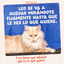 12 x 85 g Edgard & Cooper Festines de la Granja sobre en salsa para gatos, , large indicador imagen numero 10