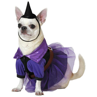 Atosa Disfraz Bruja morada con sombrero para perros especial halloween.