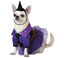 Disfraz de Bruja morada con sombrero para perro, , large indicador imagen numero 1