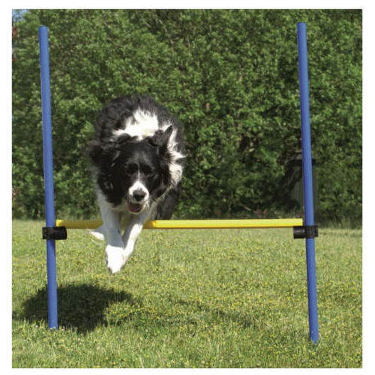 Ribecan valla de salto agility para perros image number null