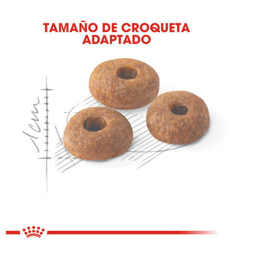 Royal Canin Regular Fit 32 pienso para gatos, , large image number null