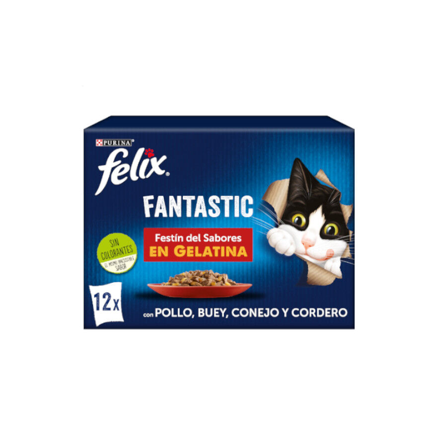 Felix Fantastic Carne en Gelatina sobre para gatos thumbnail