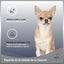 MD-10 Champ&uacute; Hidratante y Dermoprotector para Chihuahua, , large indicador imagen numero 2